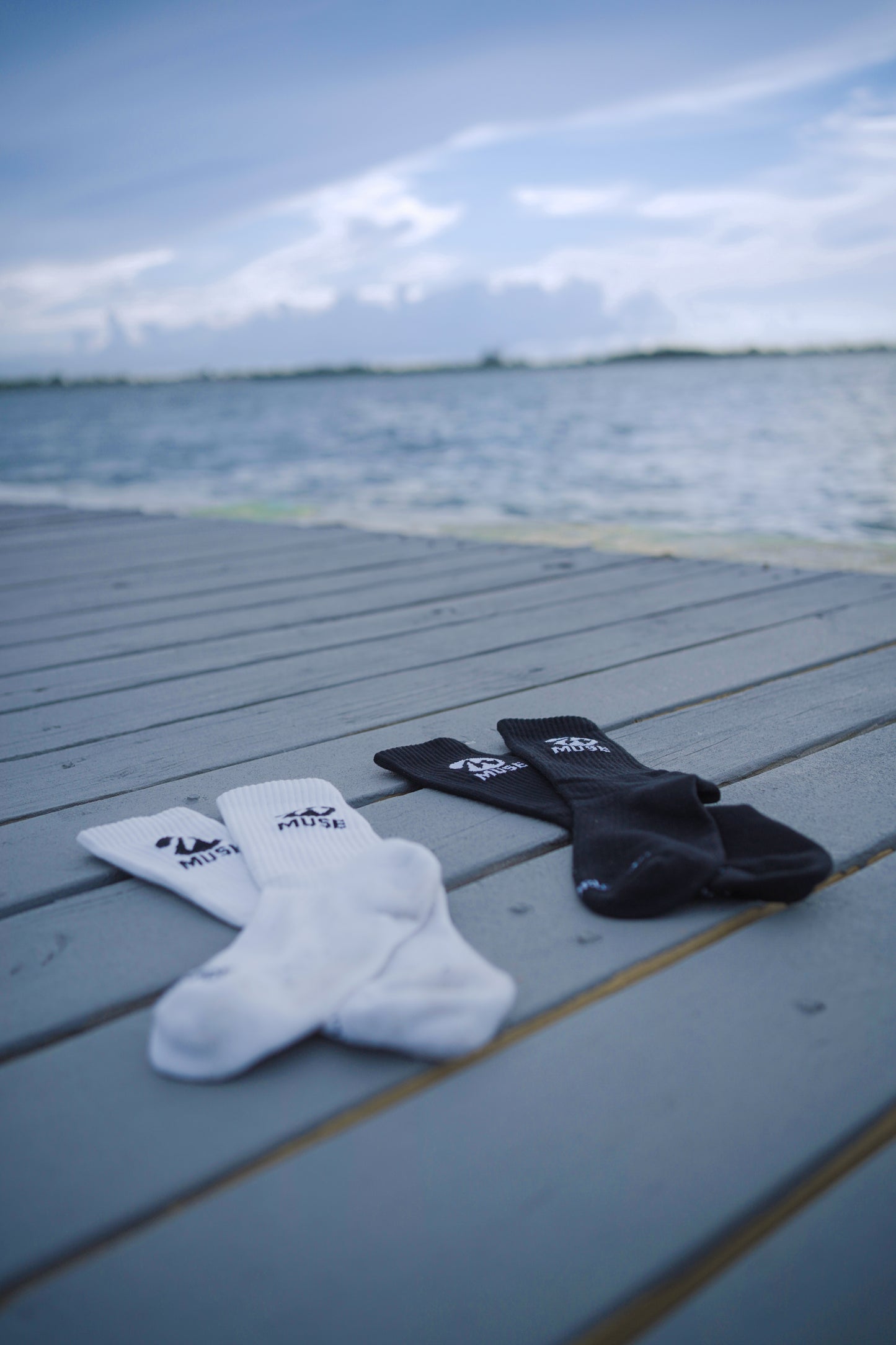 Muse Socks – Daily Socks