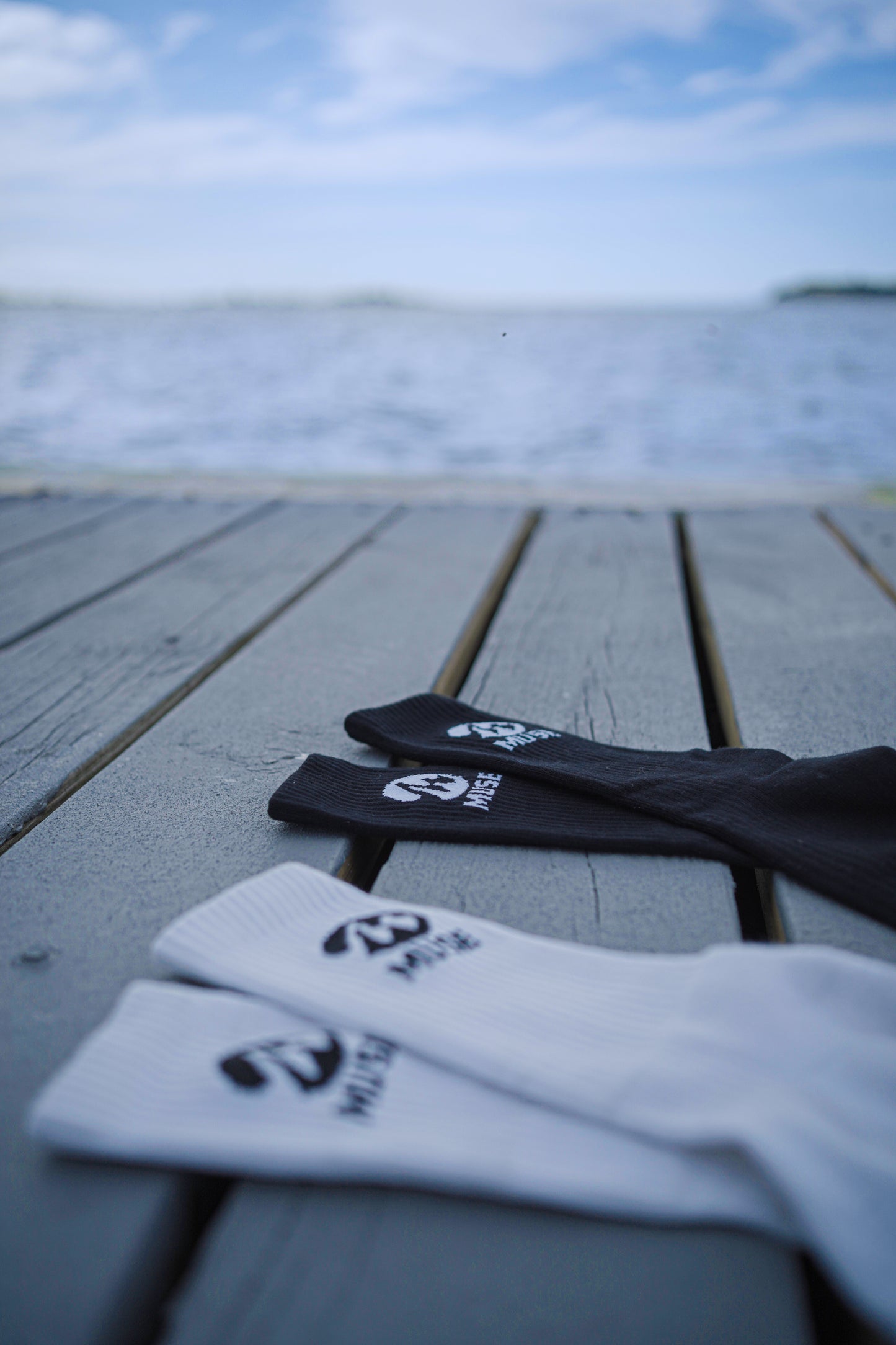 Muse Socks – Daily Socks