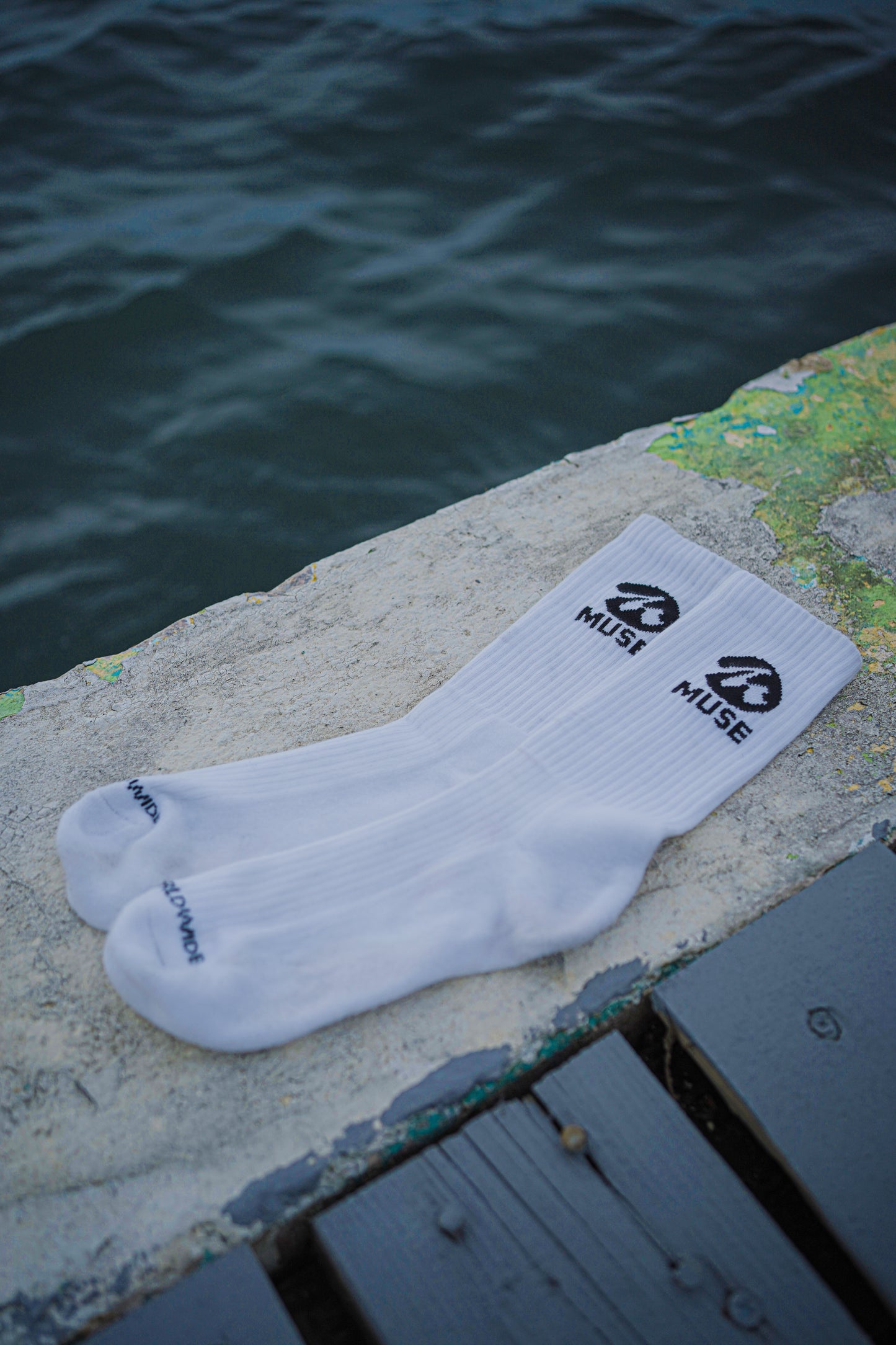 Muse Socks – Daily Socks