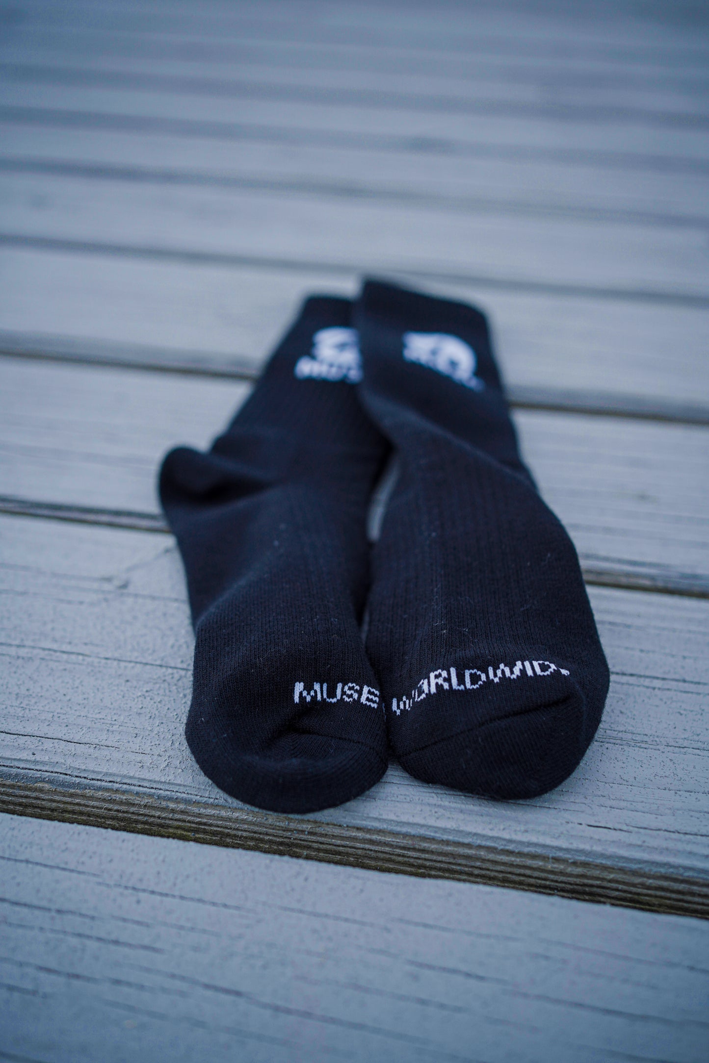 Muse Socks – Daily Socks